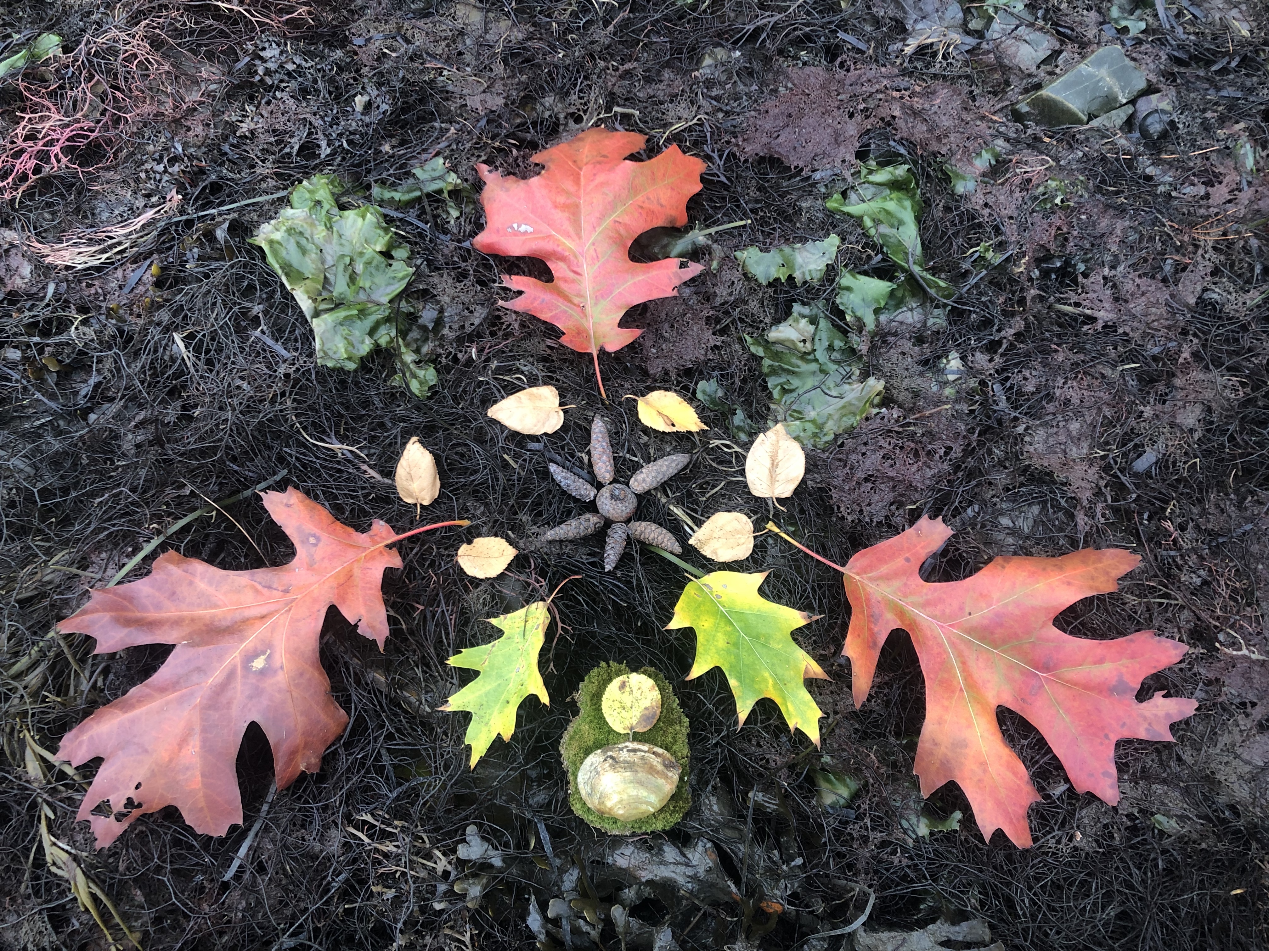 Leaf art